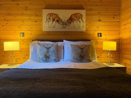 ein Schlafzimmer mit einem Bett mit zwei Lampen in der Unterkunft Balquhidder Braes Holiday Park Lodges, mostly with Hot Tubs and pet friendly, EV facilities in Lochearnhead
