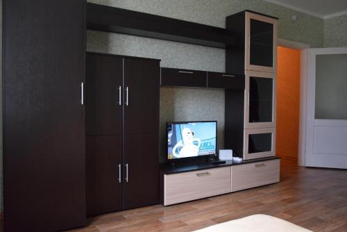 Una televisión o centro de entretenimiento en Apartments on Emlyutina 22