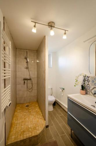 a bathroom with a shower and a toilet and a sink at Appartement RoofTop - Montélimar in Montélimar
