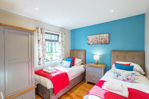 two beds in a bedroom with blue walls at Birch Lodge 15 in Newton Stewart