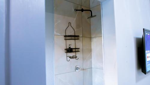 a bathroom with a shower with two shelves at DC Guest House in Avondale