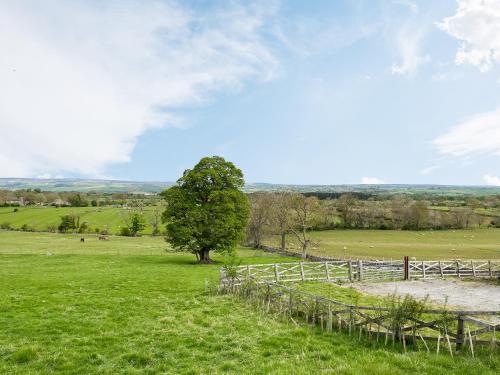 Příroda nedaleko prázdninového domu