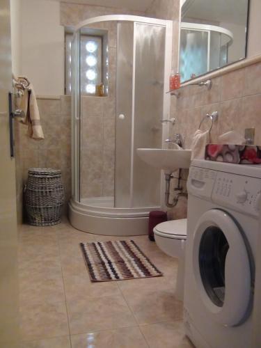 a bathroom with a shower and a washing machine at Apartment Nada in Ston