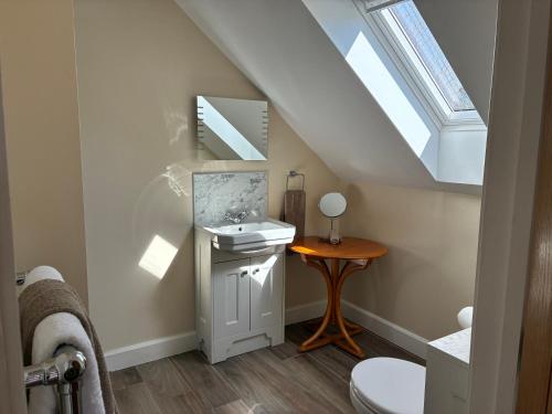 een badkamer met een wastafel en een dakraam bij Meadow View House at Pudleston Court in Docklow