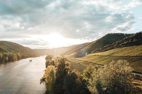 een uitzicht op een rivier met een boot erop bij Mosel Chalets - Design-Ferienhäuser mit Sauna & Weinblick in Pommern - Direkt am Weinberg in Pommern