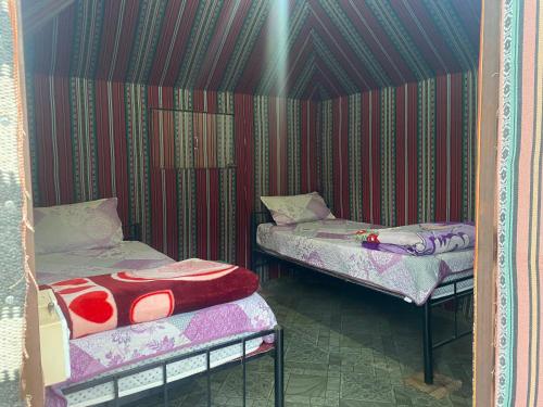 twee bedden in een kamer met een gestreepte muur bij Bedouin Village Hostel in Wadi Rum