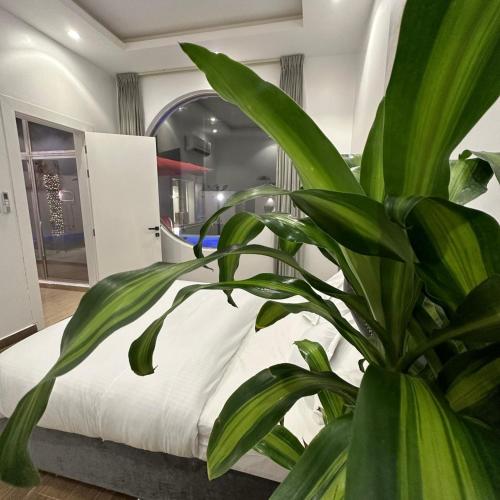 Postel nebo postele na pokoji v ubytování Lavender North Coast