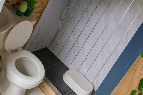 Un baño pequeño con un inodoro blanco en una habitación. en Cabin at Animal Rescue Sanctuary - Sleeps 2, en Newchurch
