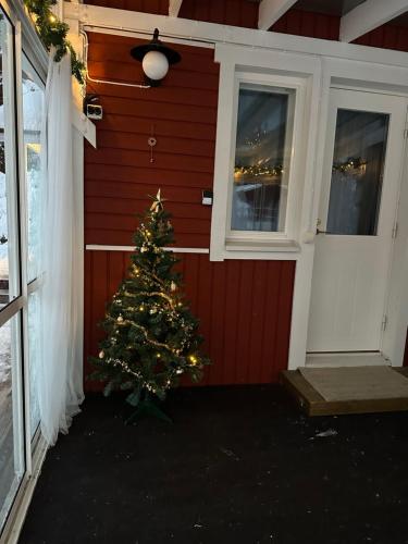 a christmas tree on the side of a house at Havuille Lodge in Rovaniemi
