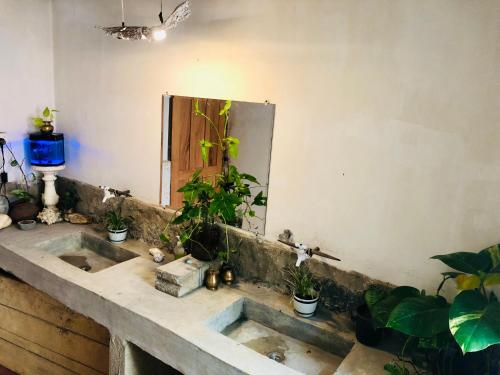 Φωτογραφία από το άλμπουμ του Ku'Vana Hostel Kandy σε Kandy