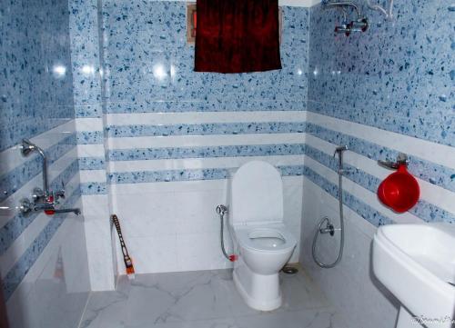 ein blau-weißes Bad mit einem WC und einem Waschbecken in der Unterkunft SILVERBERRY Homestay in Kalimpong