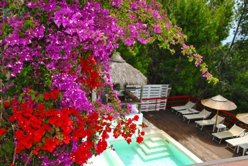 un ramo de flores colgando sobre una piscina en Villa Giulia con piscina vista mare, en Sperlonga