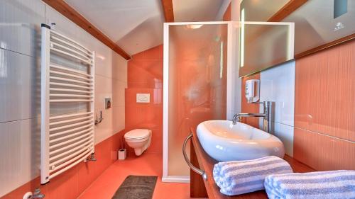 a bathroom with a sink and a toilet at Rustic Villa Simone with outdoor pool in Porec in Krmenjak