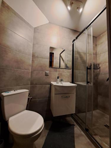 a bathroom with a toilet and a sink and a shower at Gospodarstwo Zacisze in Kowary