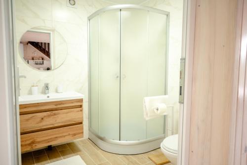 a bathroom with a shower and a sink and a toilet at GORY & TYSHA Гори і Тиша in Yavoriv