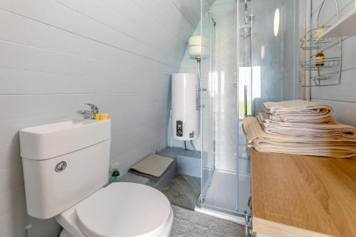 a white bathroom with a toilet and a shower at 1 Bed in Four Lanes oc-b32769 in Carnbrea