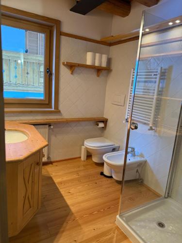 a bathroom with a shower and a toilet and a sink at Precumon 8'1 in Arabba