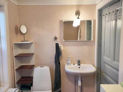 a bathroom with a sink and a toilet and a mirror at KAL558-Virserum-Holm-6 in Holm