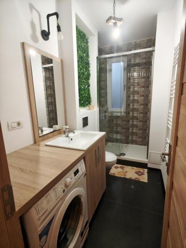 a bathroom with a washer and dryer under a sink at Studio ultracentral stefan cel mare in Craiova