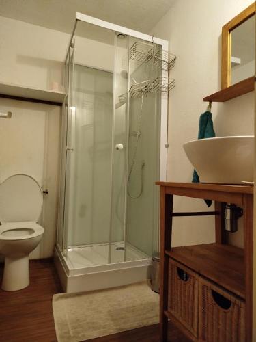 a bathroom with a shower with a toilet and a sink at Gîte Chez Albertine in Spoy