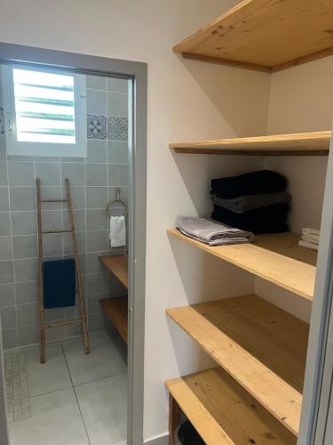 a walk in shower in a bathroom with wooden shelves at Villa fleurs d'Antalia in Anse-Bertrand