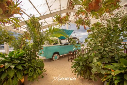 a blue van parked in a greenhouse with plants at Secrt Sabana 1BR · Balcony & Natural Light · Parking · Pool & Gym · Apt 1212 in San José