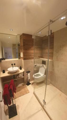 a bathroom with a toilet and a sink at Erftstege#3 in Bad Münstereifel