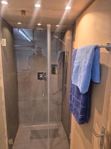 a bathroom with a shower with a blue towel at B&B Stiffler-Huus in Davos