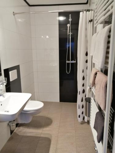 a bathroom with a toilet and a sink and a shower at Appartment Graz Zentrum in Graz