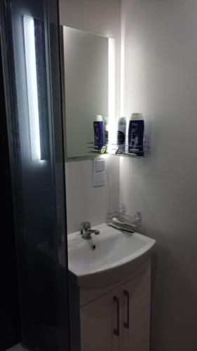 a bathroom with a sink and a mirror at Mobil home Katka in Biograd na Moru