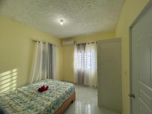 une chambre avec un lit et une fenêtre dans l'établissement Apartamentos-Oliver, à Las Galeras