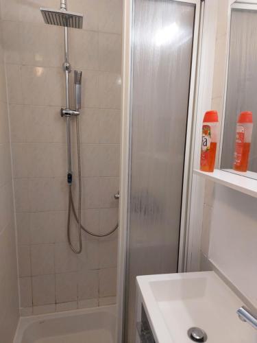 een badkamer met een douche en een wastafel bij Paisible in Les Pieux