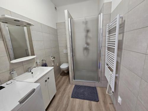 ein Badezimmer mit Dusche, Waschbecken und Toilette in der Unterkunft Harmonia Budget apartman in Dunajská Streda