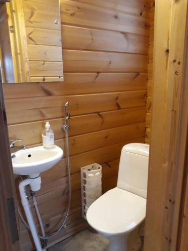 a bathroom with a toilet and a sink at Yläkolo - A functional cottage in a good location in Saariselka