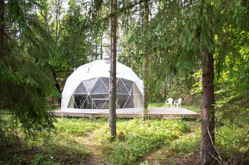 a white tent in the middle of a forest at Bubble House glamping tent Odulemma 
