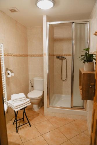 a bathroom with a shower and a toilet and a sink at Penzion U Skutilů in Pilníkov