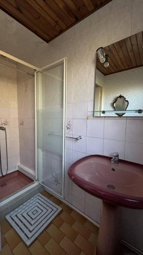 a bathroom with a red sink and a shower at Le Tuc de Rose in Mimizan