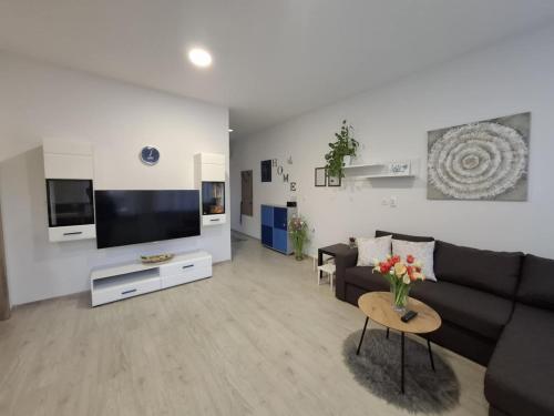 Una sala de estar con un sofá negro y un televisor. en Prenočišča Dany APARTMA 2, en Dravograd