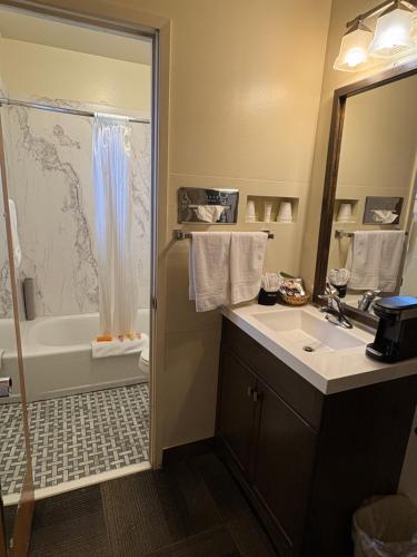 un bagno con lavandino, vasca e doccia di Clover Creek Inn a Montpelier