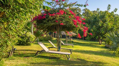 Vườn quanh Kohinor maison d'hôtes