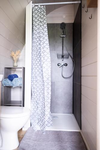 a bathroom with a shower with a toilet at L'Escapade dans les Prés in Les Pégués