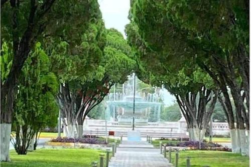 Ein Garten an der Unterkunft Torreón Jardin apartment near IMSS clinics 16 and 71