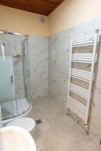 a bathroom with a glass shower and a toilet at Manis Hotel in Nymfaio