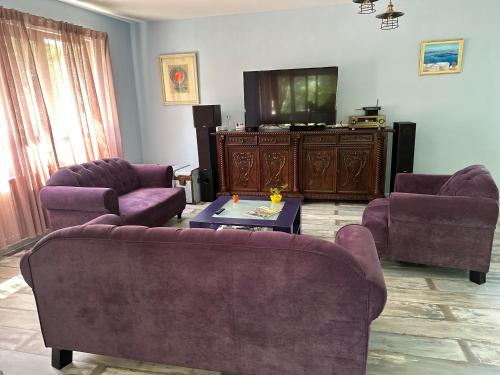 un soggiorno con due divani e una TV a schermo piatto di MURMUR Chalet a Valea Tîrsei