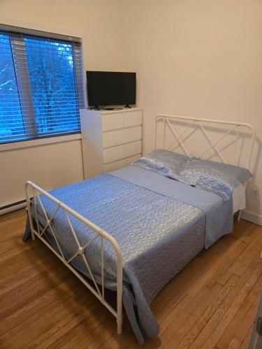 een slaapkamer met een bed, een ladekast en een televisie bij Nature view retreat in Gatineau