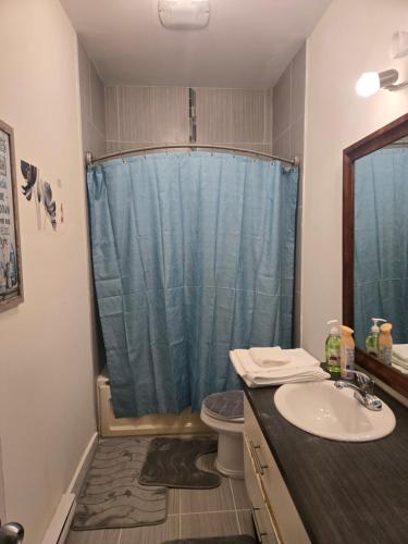 een badkamer met een wastafel en een douche bij Nature view retreat in Gatineau