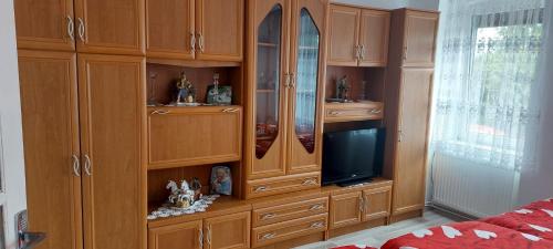 Et tv og/eller underholdning på Casă Ghimbav -Brasov