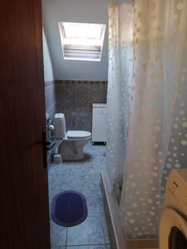 a bathroom with a toilet and a shower curtain at Apartmani Brkan in Donja Lastva