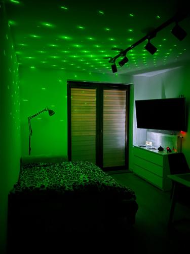 a green room with a bed and a tv at Zakrzówek Apartament z Jacuzzi in Krakow