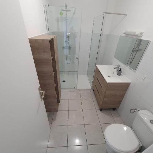 a bathroom with a shower and a toilet and a sink at Chambres chez l'habitant in Saint-Paul